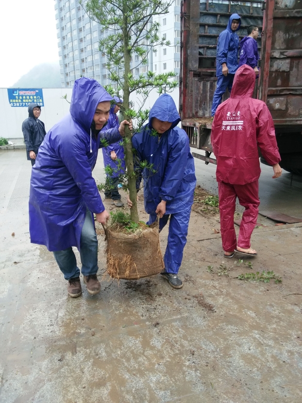qy千亿-千亿(国际)唯一官方网站