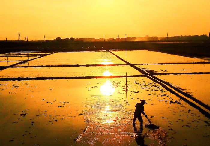 5摄影作品《耕作》获三等奖。。。。。。韦荣伟 摄-13768307144700.jpg