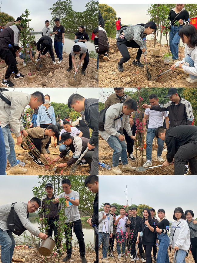 植树现场。。。。。。；；；；；；畦磋 摄（修图）.jpg